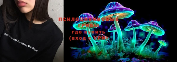 ешки Надым