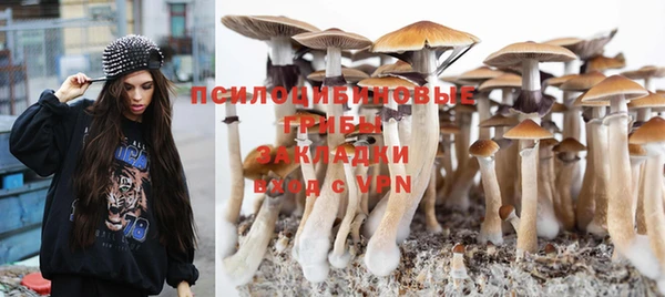 ешки Надым